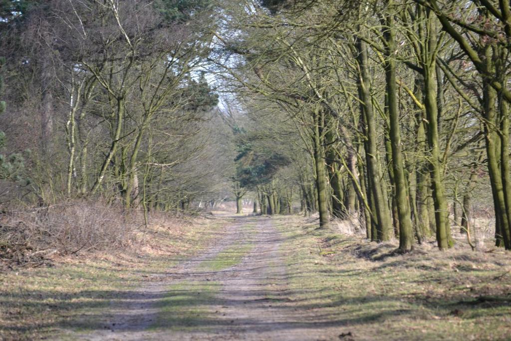 Auberge De Moerse Hoeve 외부 사진